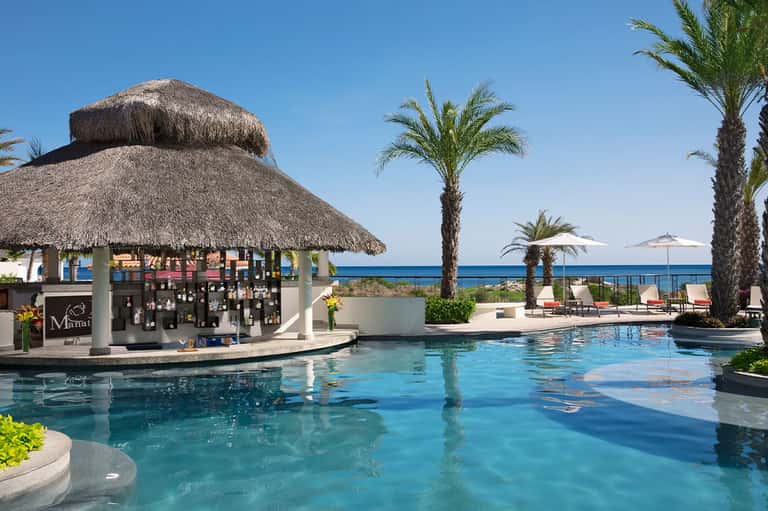 Oceanfront pool with thatched-roof bar, palm trees, ocean view, and lounge chairs