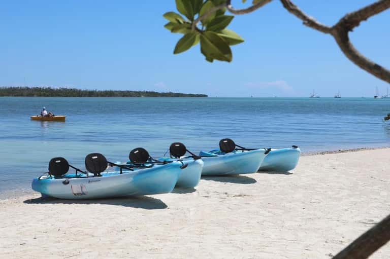 Row of blue kayaks lined on sandy beach with calm turquoise water and sailboats in the background
