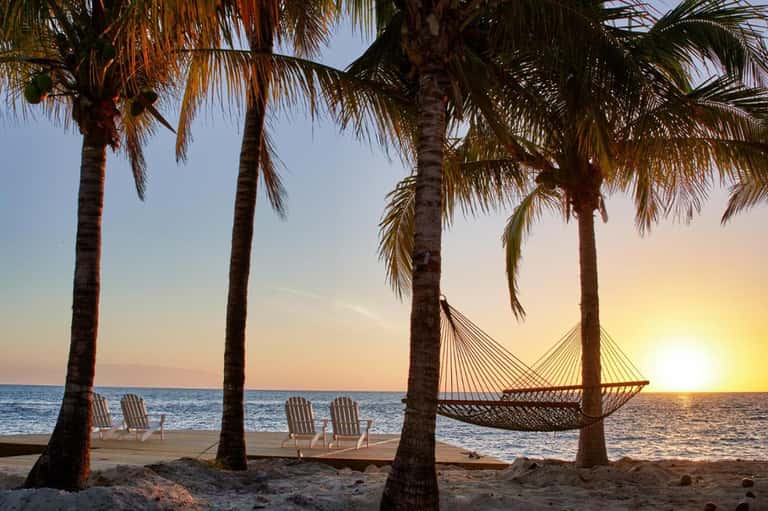 Hammock strung between palm trees at sunset on beach with ocean horizon