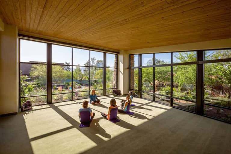 Yoga class in bright studio with large windows overlooking natural landscape