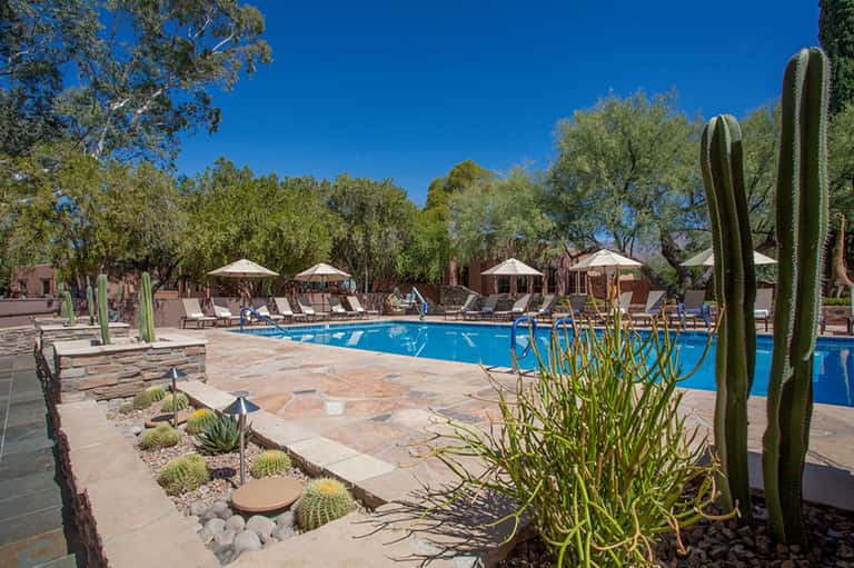 Desert resort pool area surrounded by cacti, umbrellas, lounge chairs, and native trees