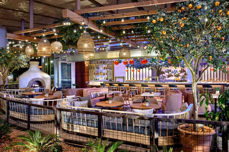 Upscale indoor lounge with hanging plants, string lights, fireplace, and wood beams