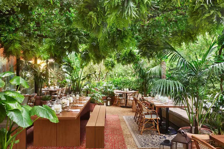 Outdoor dining area with wooden tables beneath dense tropical canopy and lush green vegetation