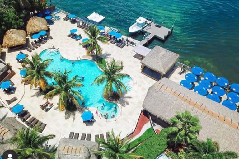 Aerial view of beachfront resort with curved pool, palm trees, and private beach access