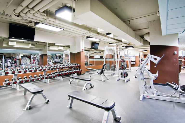 Modern fitness center with rows of dumbbells and exercise equipment