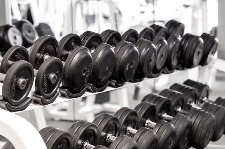 Row of black dumbbells arranged on white rack in fitness center gym facility