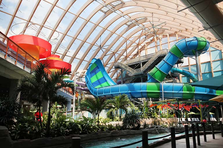 Indoor water park with colorful slides under glass roof and tropical plants