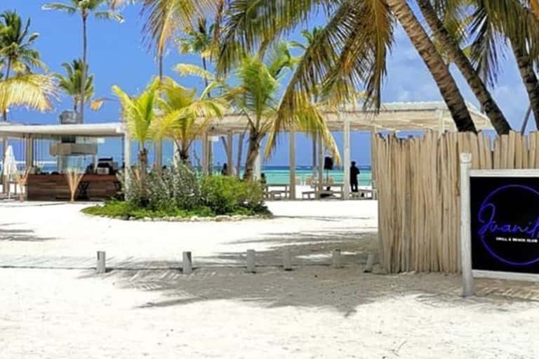 Beachfront resort area with palm trees, lounging space, and ocean views