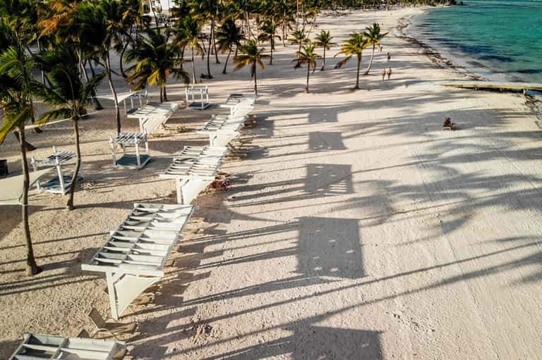 Tropical beach with white lounge chairs lined on sand, palm trees, and turquoise ocean