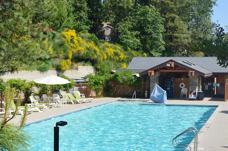Clear rectangular pool surrounded by lounge chairs, umbrellas, and rustic lodge building nestled in forest setting