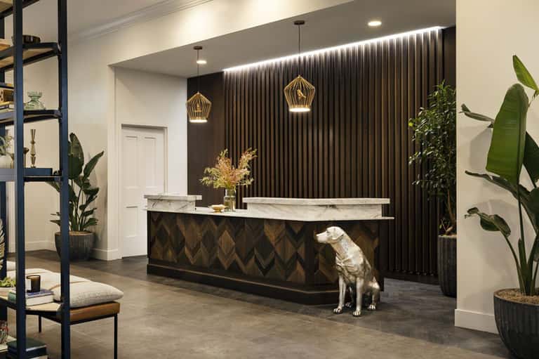 Modern hotel reception desk with dark curtain backdrop, pendant lights, and potted plants flanking entrance