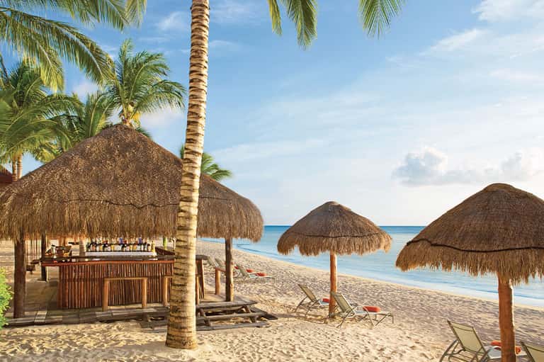Beach bar with thatched roof, lounge chairs under palm umbrellas, and calm ocean horizon