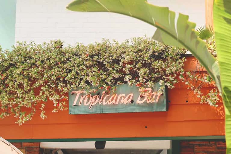 Tropicana Bar storefront with white flowering vines cascading over coral-red exterior