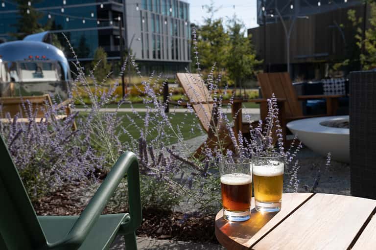 Outdoor rooftop lounge with lavender plants, beer glasses, and modern city architecture backdrop