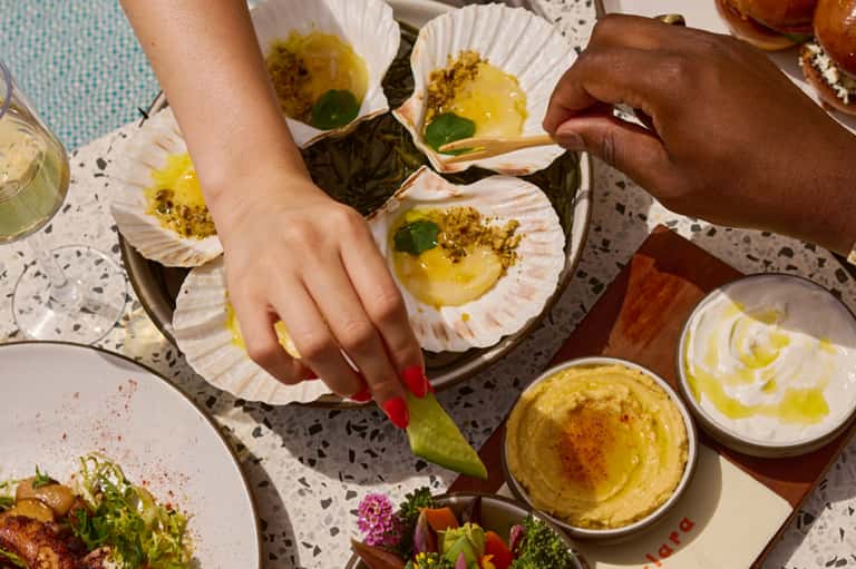 Overhead view of plated Mediterranean appetizers with scallops, hummus, and garnishes on white surface
