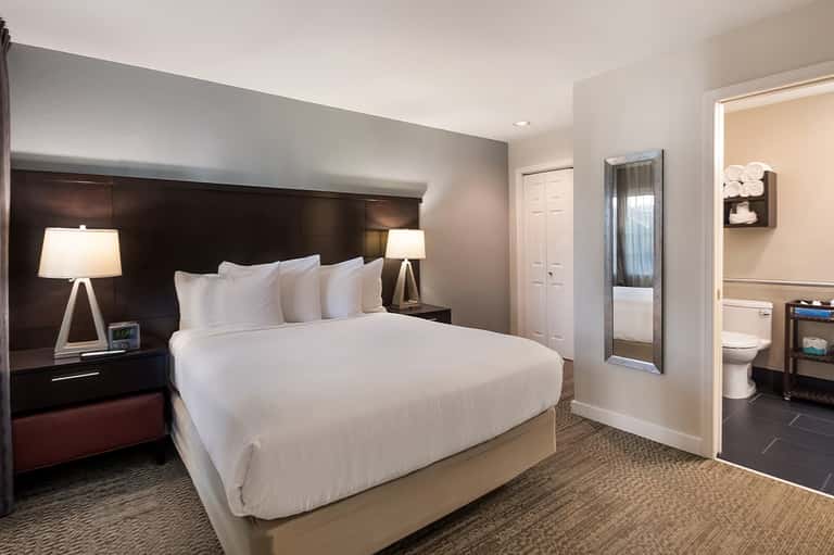 Contemporary hotel bedroom with dark headboard, white bedding, en-suite bathroom visible