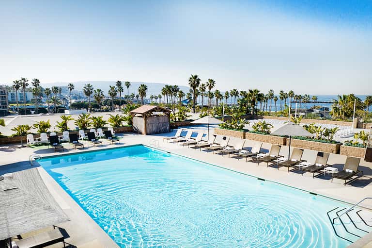 Rectangular hotel pool with loungers, palm trees, ocean view, and coastal beachfront location