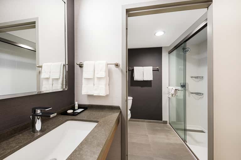 Modern bathroom with double vanity, walk-in shower, and neutral earth-tone finishes