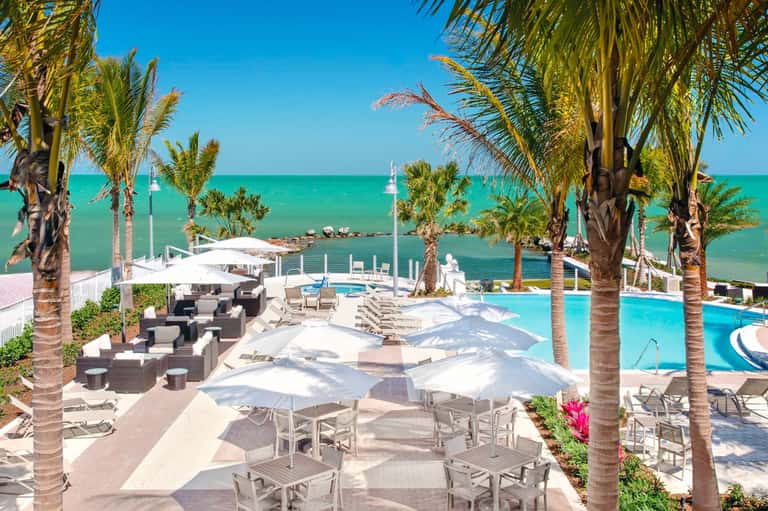 Beachfront resort pool with palm trees, white umbrellas, and turquoise ocean view