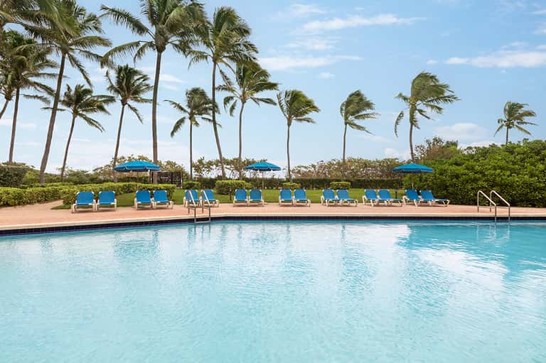 Resort pool with blue lounge chairs, umbrellas, palm trees, and lush landscaping