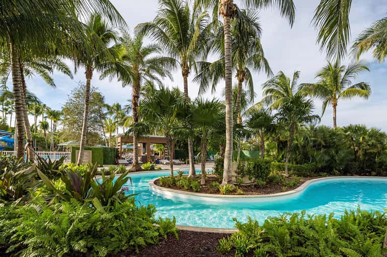 Curved resort pool surrounded by lush tropical palm trees and manicured landscaping