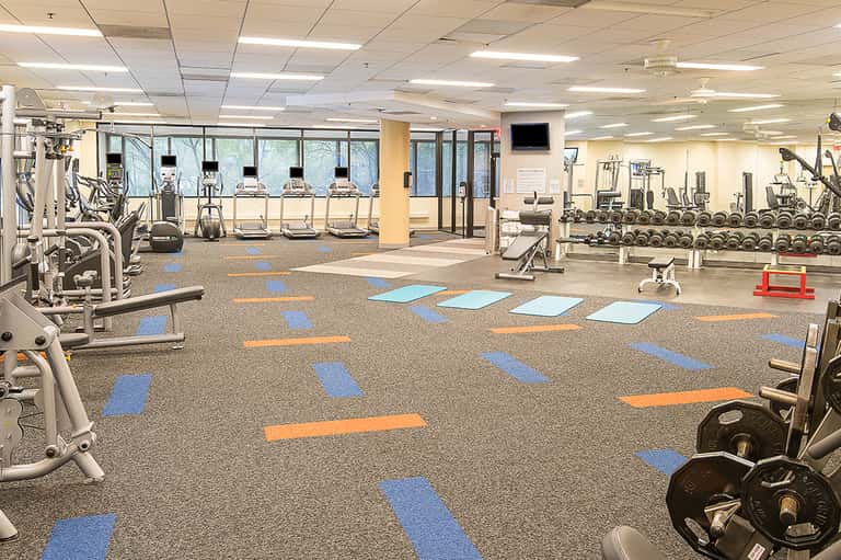 Modern fitness center with cardio equipment, weight stations, mirrors, and blue-orange floor design