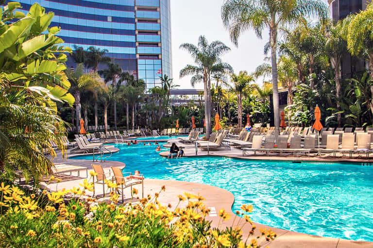 Resort pool surrounded by palm trees, lounge chairs, and high-rise hotel building in background