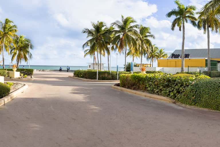 Palm-lined coastal promenade with ocean view and modern buildings with yellow awnings