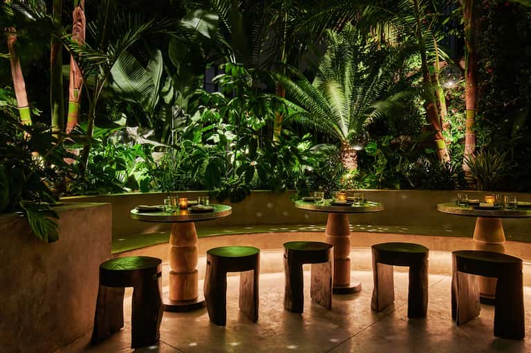 Lush tropical indoor dining area with illuminated plants, wooden stools, and round tables at night