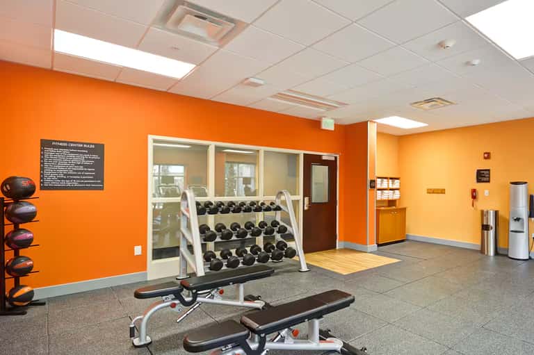 Bright orange fitness center with dumbbells, weight bench, and exercise equipment
