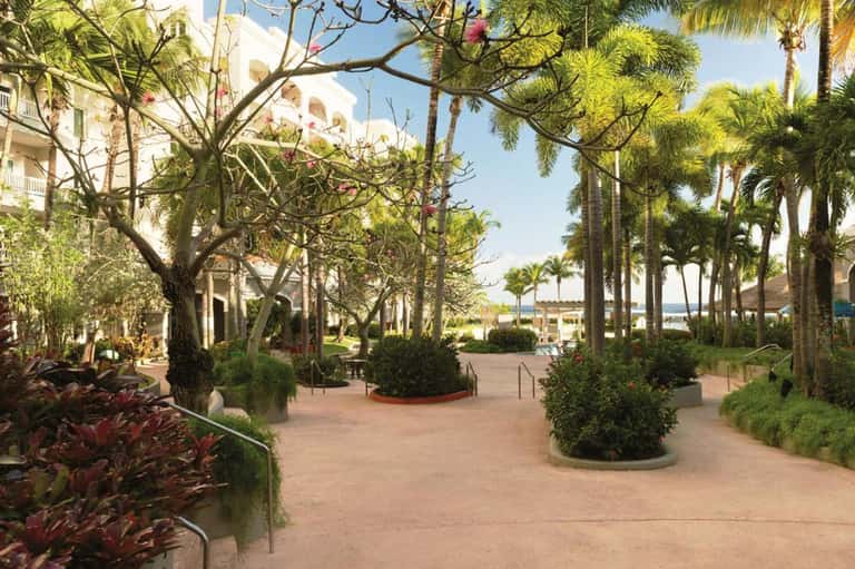 Beachfront promenade lined with palm trees, flowering plants, and white buildings