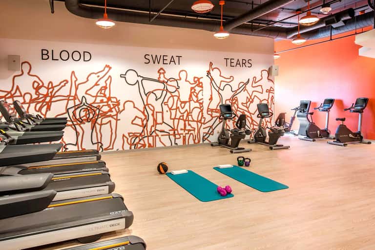 Modern fitness studio with orange neon line art wall displaying 'Blood Sweat Tears' and exercise equipment