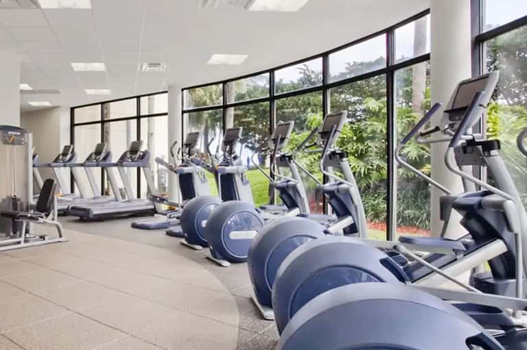 Modern gym with rows of elliptical machines and large windows overlooking green landscape