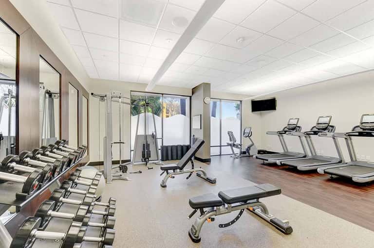 Modern fitness center with dumbbells, weight machines, and treadmills