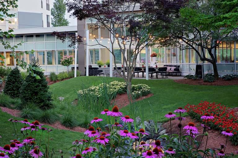 Modern courtyard with manicured gardens, pink flowers, and contemporary building architecture