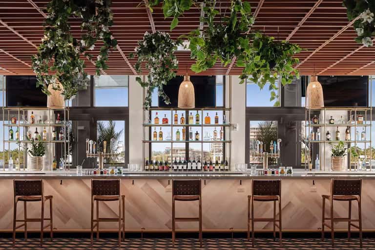 Modern bar with wooden ceiling slats, hanging plants, glass shelving with bottles, and brown bar stools overlooking a cityscape