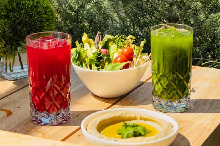 Outdoor dining setup with fresh salad, hummus, red and green beverages on wooden table with garden backdrop