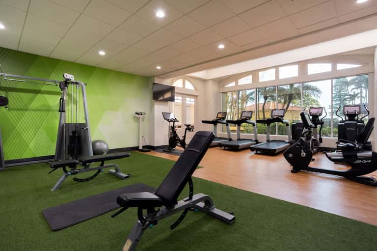 Modern fitness center with green accent wall, weight machines, stationary bikes, and large windows overlooking trees