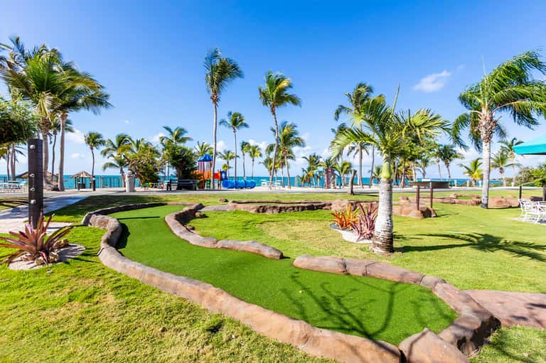 Beachfront park with palm trees, manicured lawn, decorative rock pathways, and ocean view in background