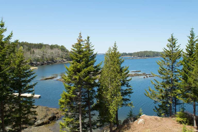Scenic forest lake surrounded by pine trees and rocky shoreline with clear blue water