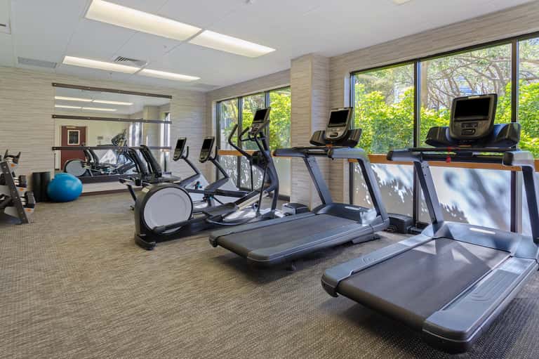 Modern fitness center with treadmills, exercise bikes, and large windows overlooking trees