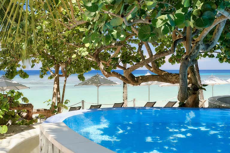 Beachfront pool surrounded by tropical trees with ocean and umbrellas in background