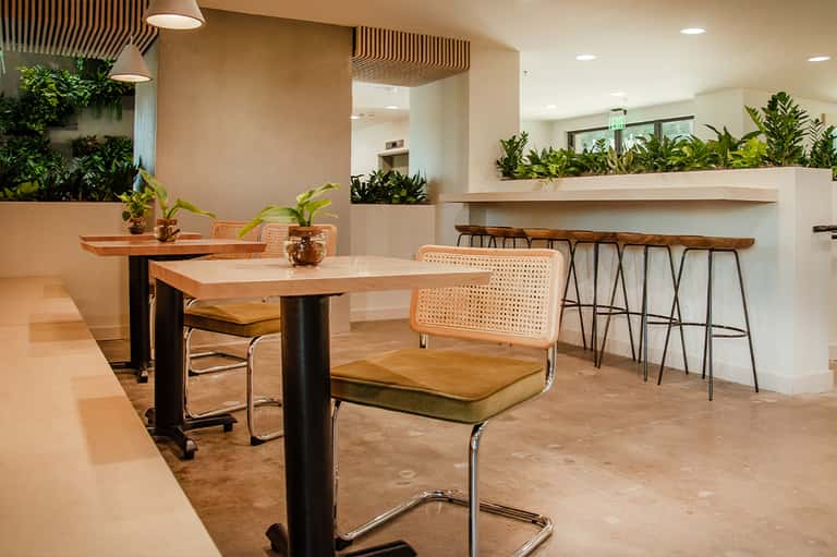 Modern interior dining area with wooden tables, rattan chairs, and potted plants throughout