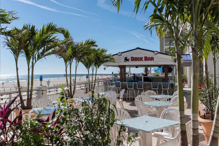 Beachfront deck bar with white furniture, palm trees, and ocean view under clear blue sky