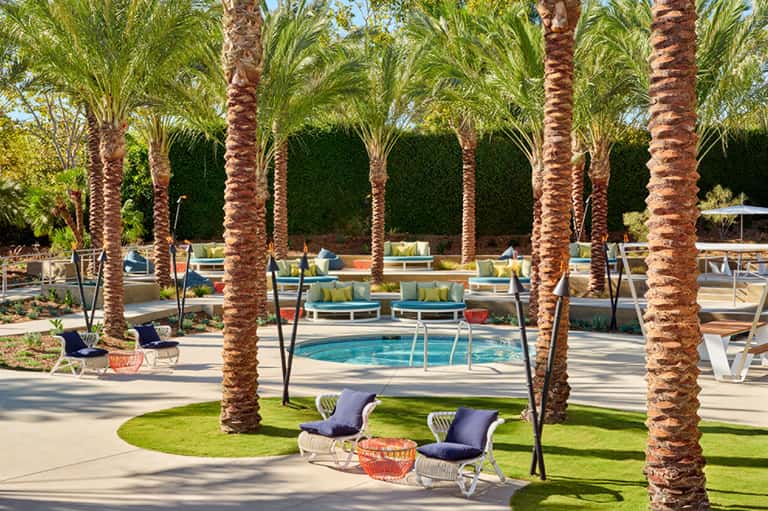 Outdoor pool area surrounded by palm trees with lounge chairs and landscaped grounds under blue sky