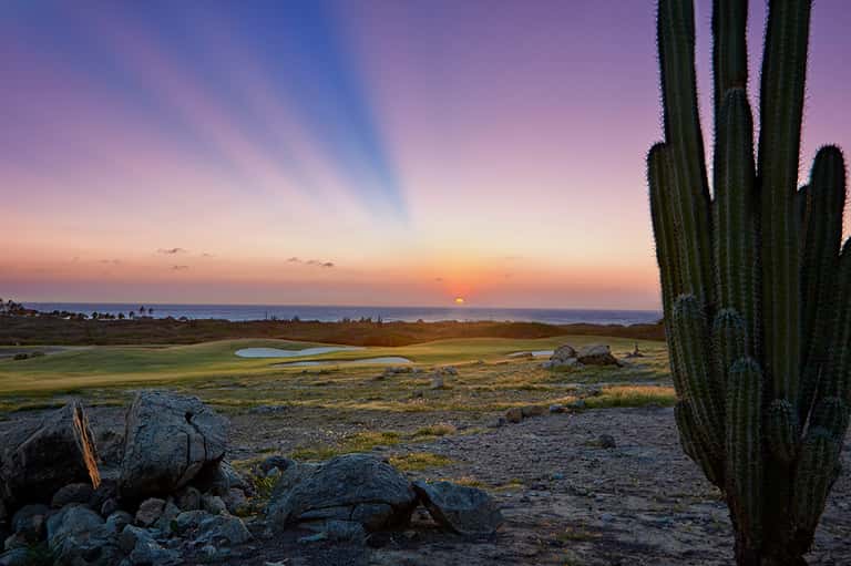 Desert landscape at sunset with tall saguaro cactus, rocks, and calm water in distance