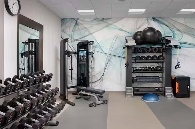 Modern fitness center with dumbbells, cable machines, exercise balls, and treadmills