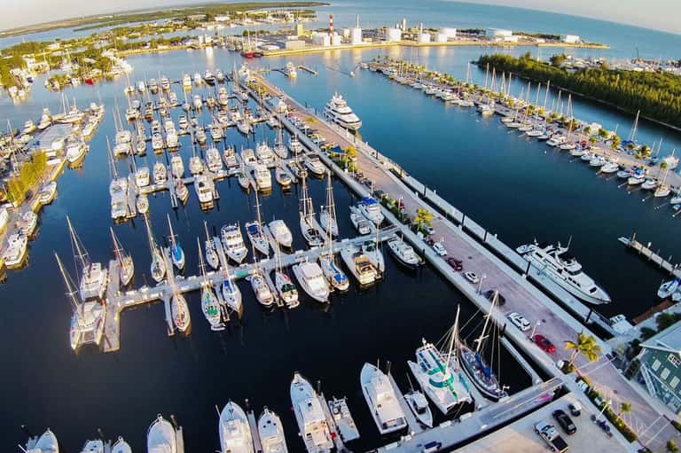 Aerial view of bustling marina with hundreds of white boats docked in organized rows along waterfront piers