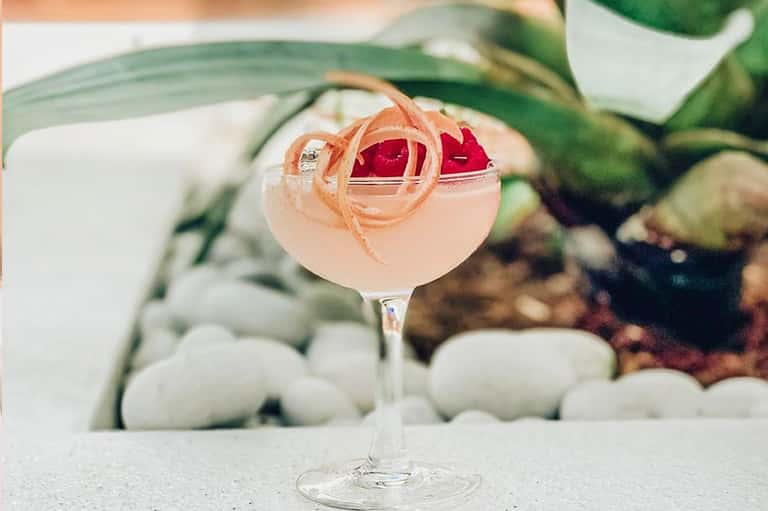 Elegant blush-pink cocktail garnished with peach ribbon and red rose petals, surrounded by tropical foliage