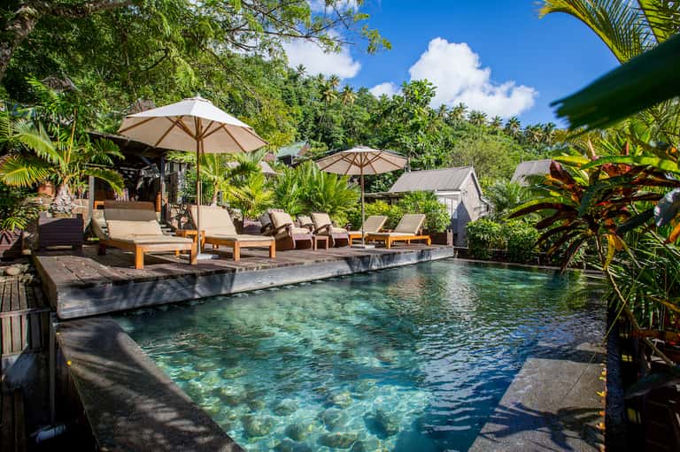 Tropical resort pool surrounded by palm trees, lounge chairs with umbrellas, and lush green vegetation